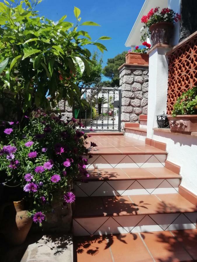 Capri Sea View Villa Dış mekan fotoğraf